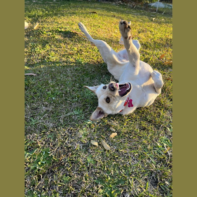 Photo of Tiny