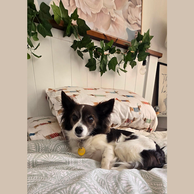 Photo of Littles