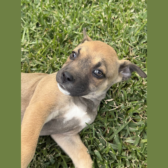 Photo of Hazel