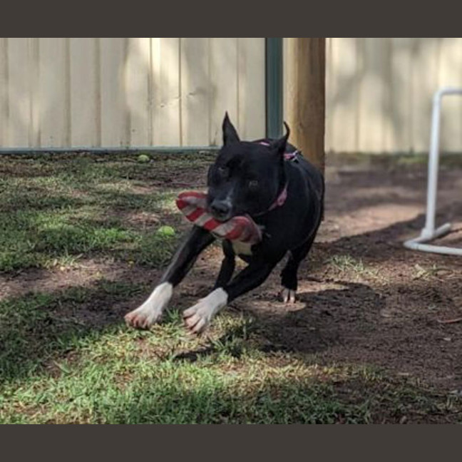 Photo of Vanellope Von Treats