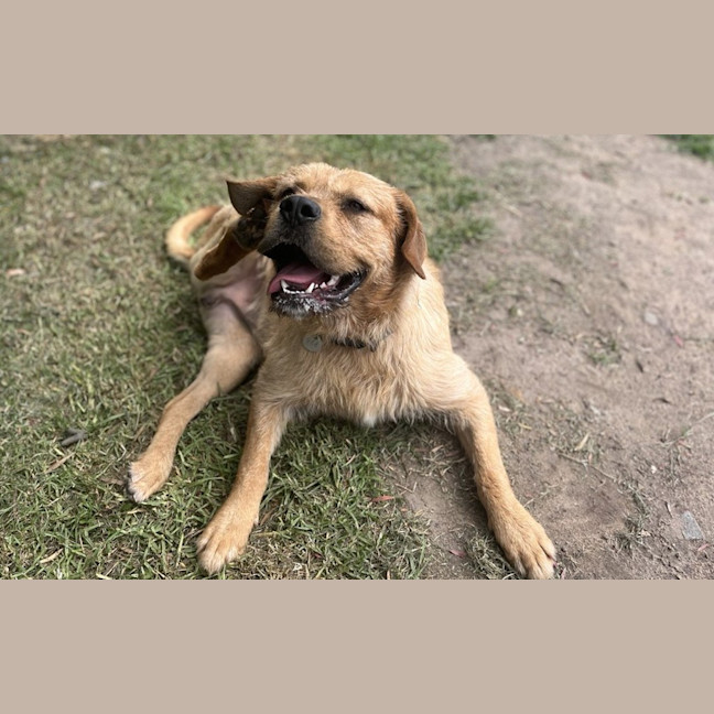 Photo of Kirby