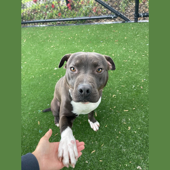 Photo of Axel Imp 1660