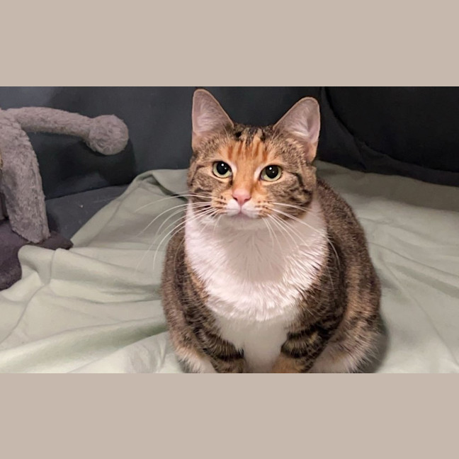 Photo of Penny
