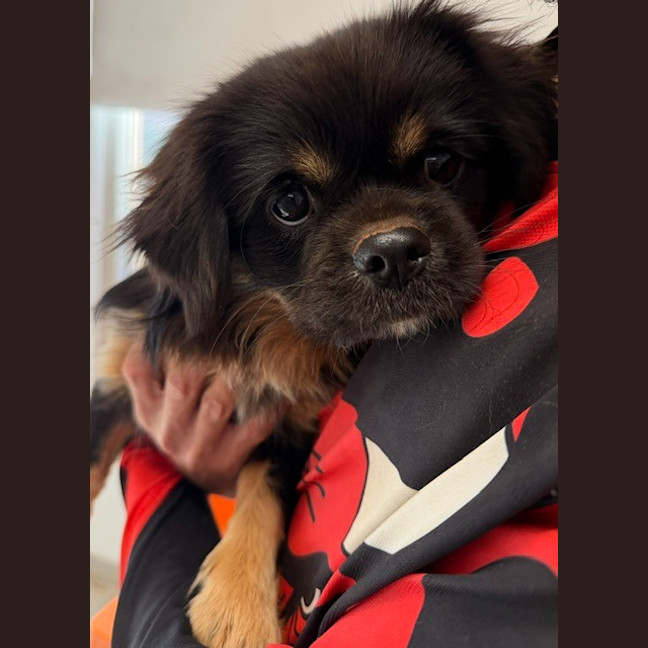 Photo of Kiki