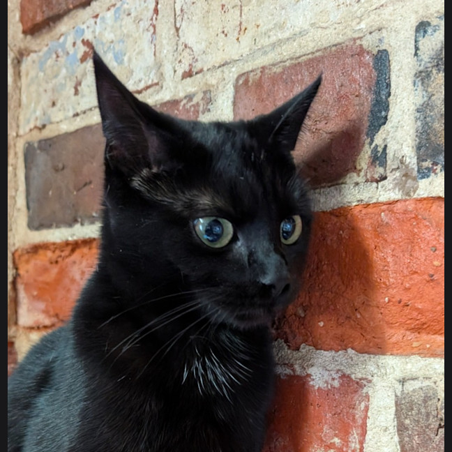 Photo of Gretel