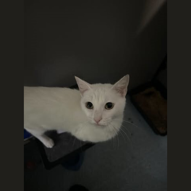 Photo of Mimi