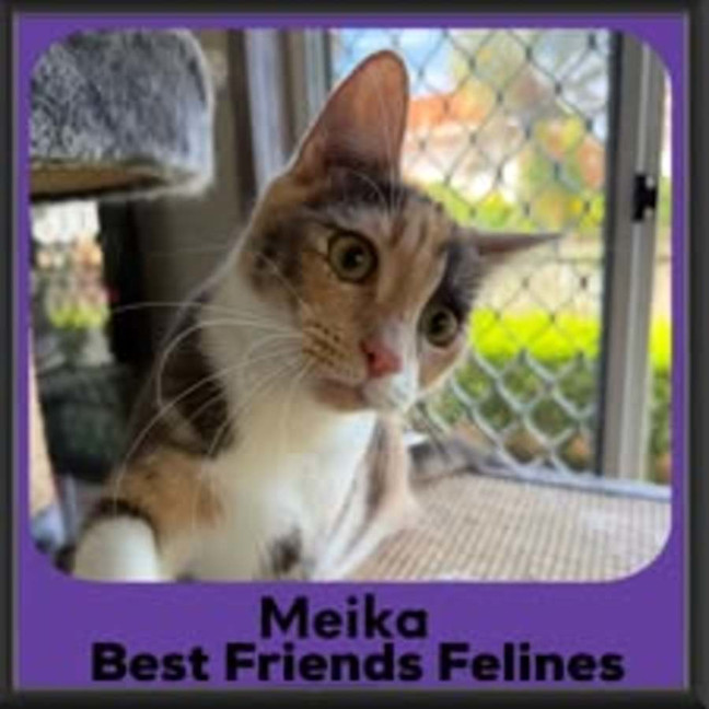 Photo of Meika 