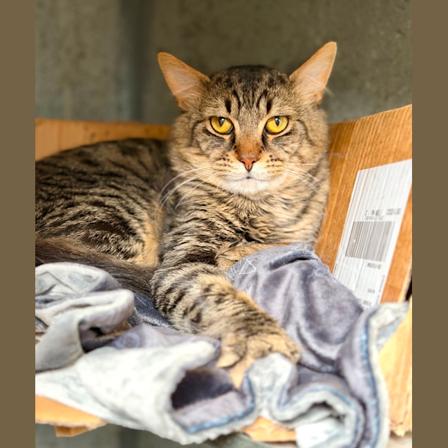 Photo of Kevin