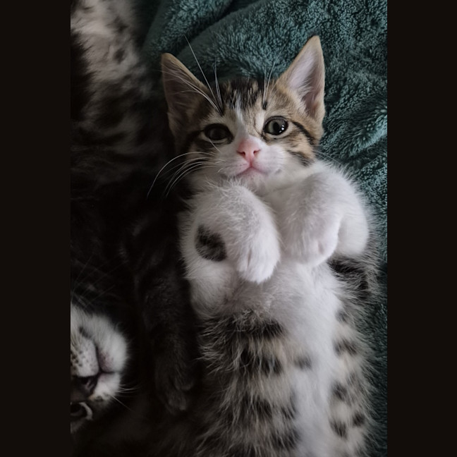 Photo of Amber & Arlee 🌷🌷