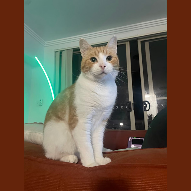 Photo of Fred