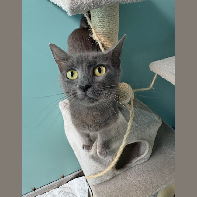 Photo of Evie