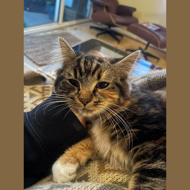 Photo of Pearl