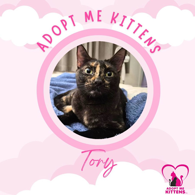 Photo of Tory