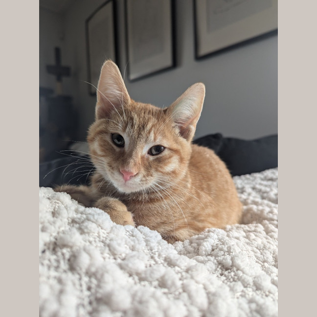 Photo of Flame