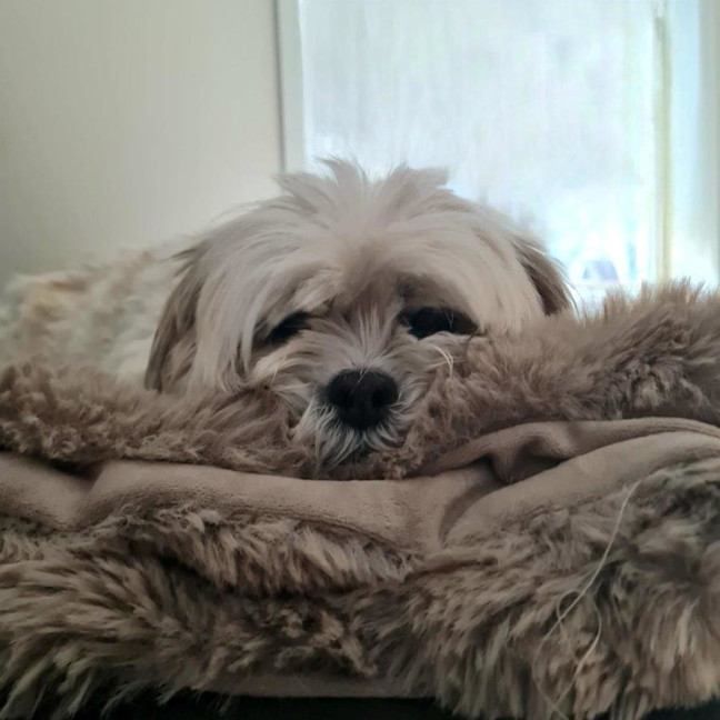 Photo of Molly Quinnell