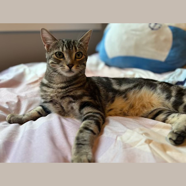 Photo of Finn
