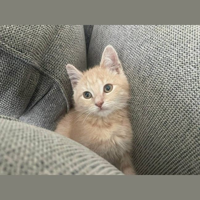 Photo of Sunny