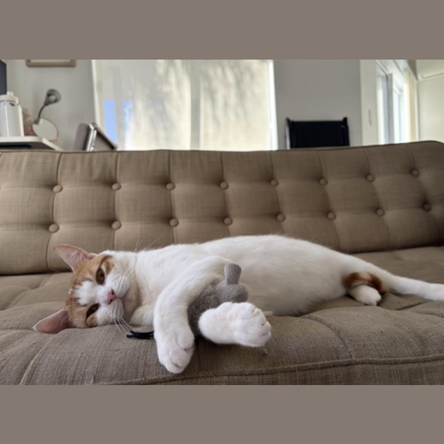 Photo of Clive