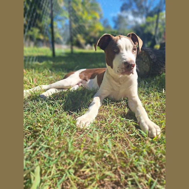 Photo of Phoenix