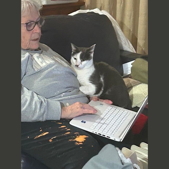 Photo of Cookie Mumma