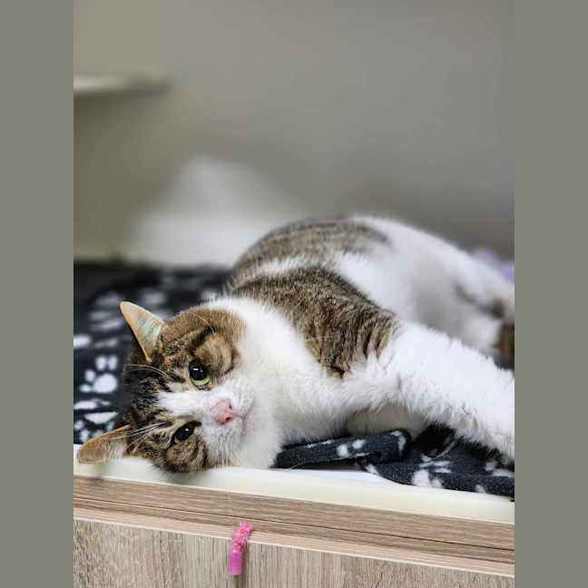 Photo of 🎣 Rafferty 6254 🎣