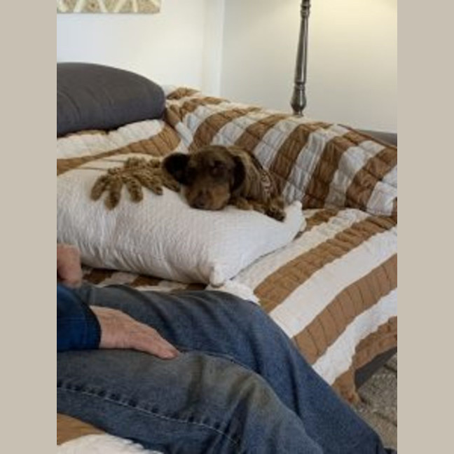 Photo of Rocco