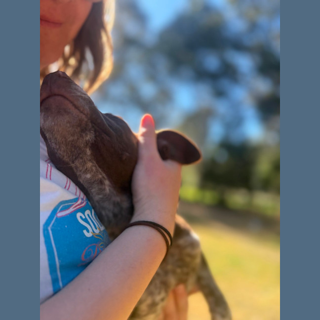 Photo of Buddy