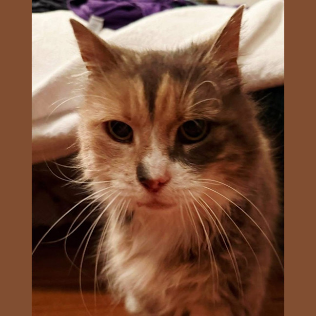 Photo of Millie