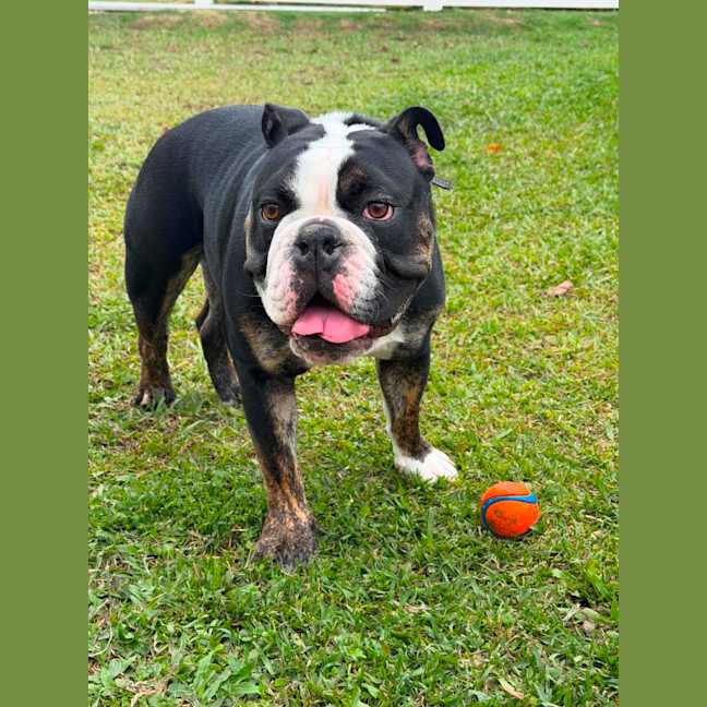 Photo of Max