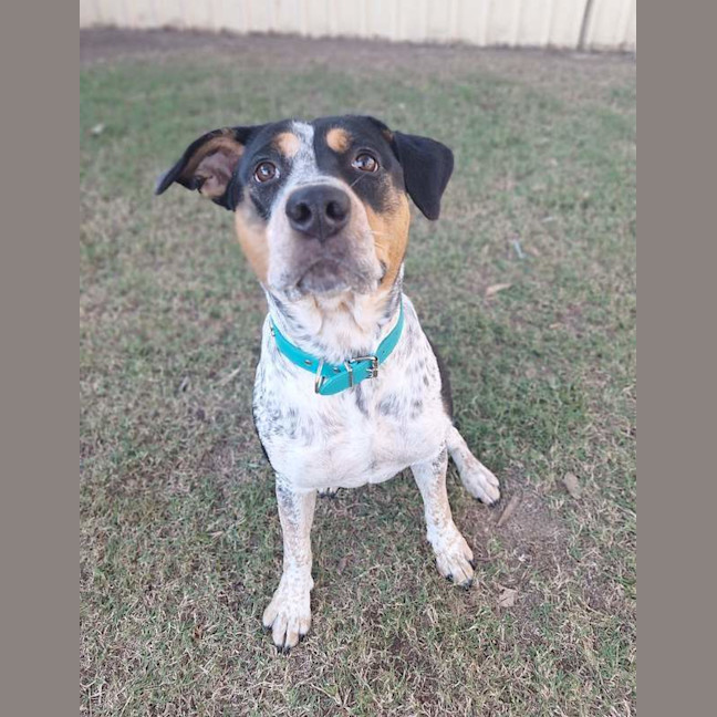 Photo of Dottie