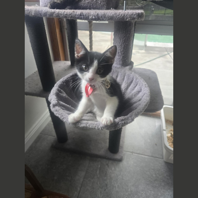 Photo of Jackie Chan