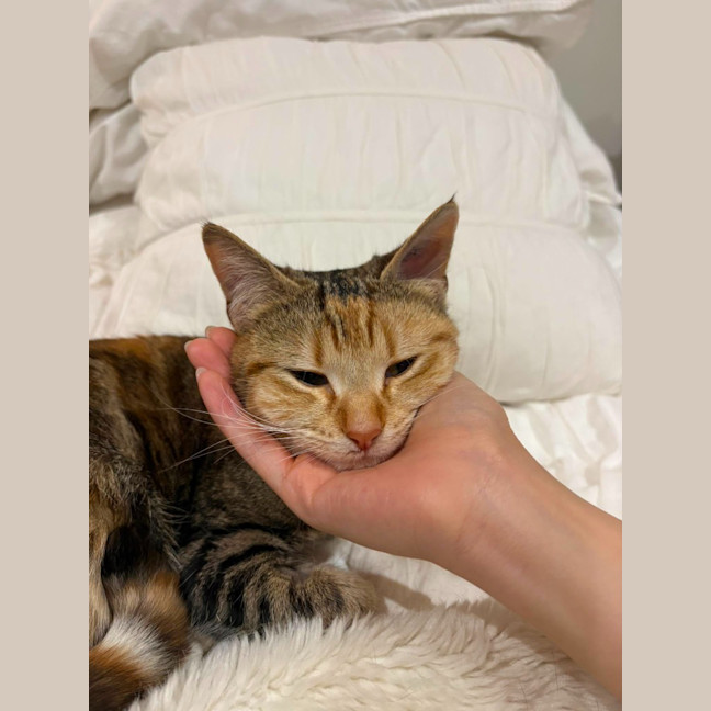 Photo of Juno