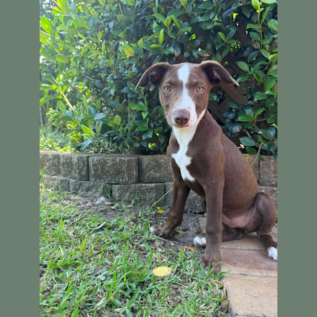 Photo of Marnie