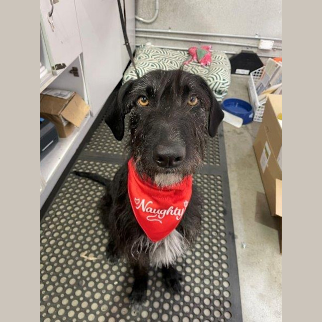 Photo of Roxy Peggotty