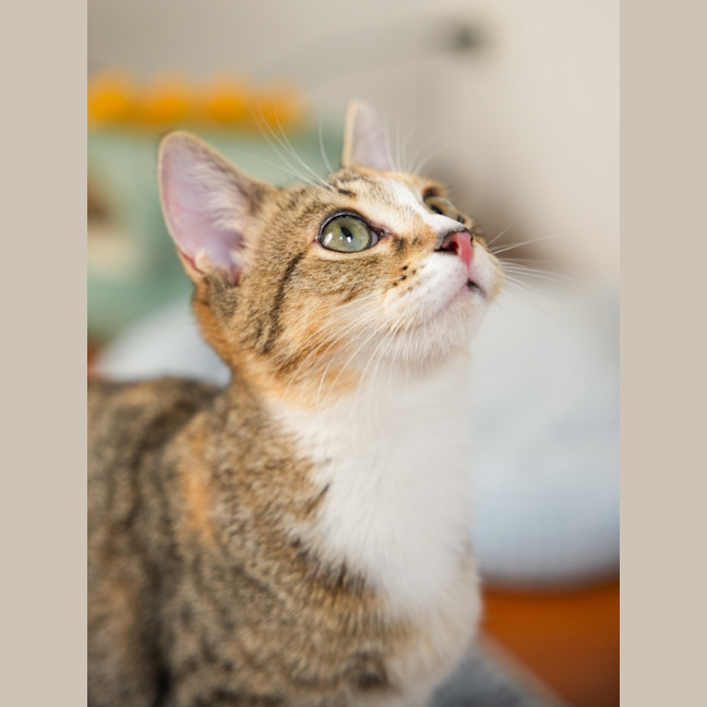 Photo of Elsie