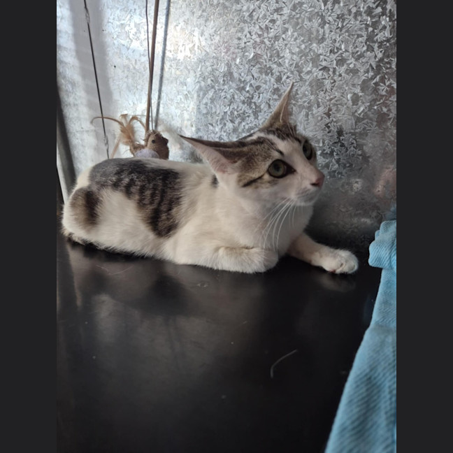 Photo of Whitney! 🌟