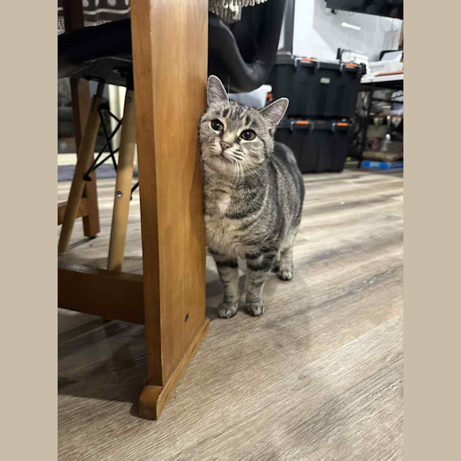 Photo of Sylvie