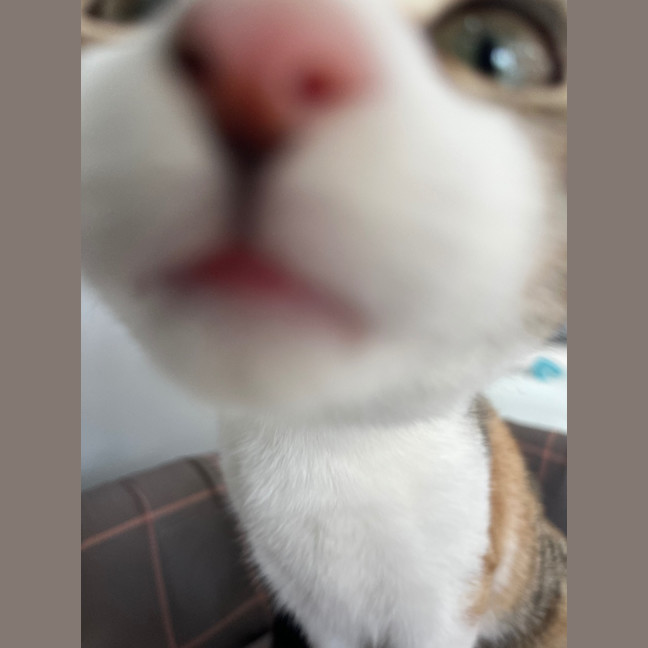 Photo of Gabby
