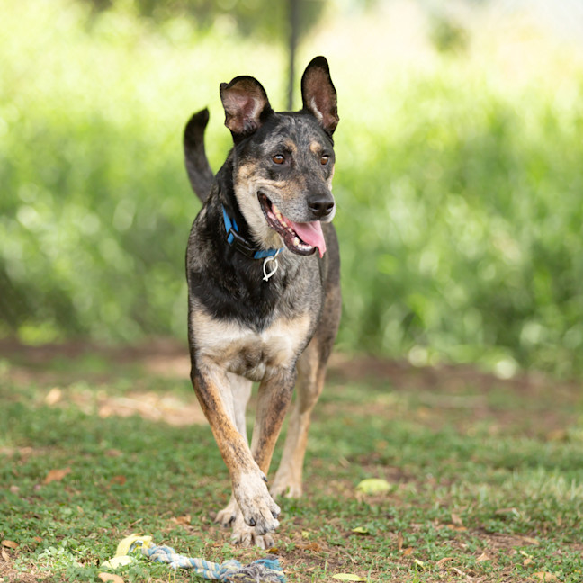 Photo of Max