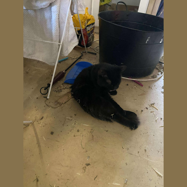 Photo of Nibbles & Moth