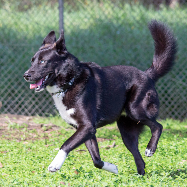 Photo of Hunter