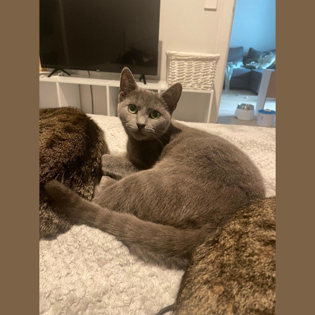 Photo of Sprinkle 🧁 