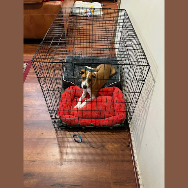 Photo of Echo