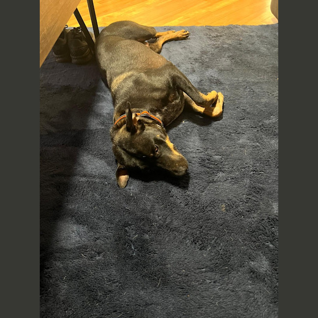 Photo of Sage