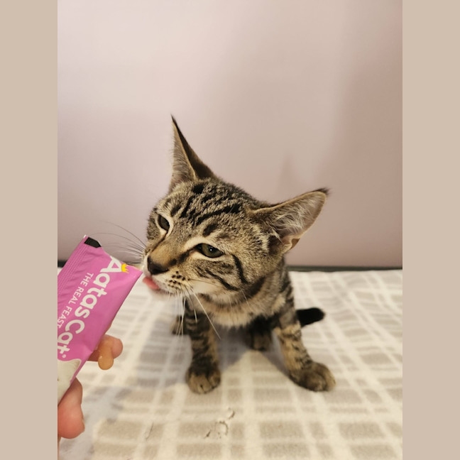 Photo of Audrey   In Foster Care In Templestowe