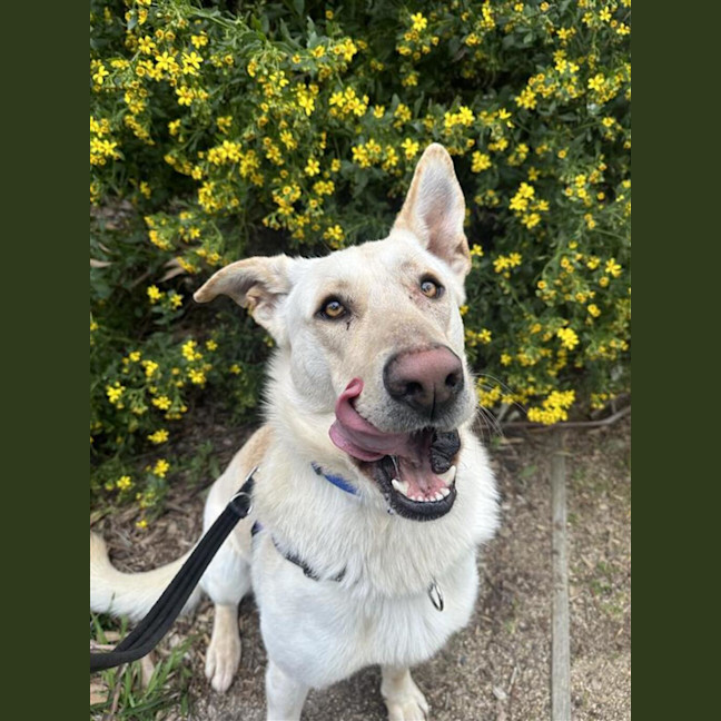 Photo of Duke