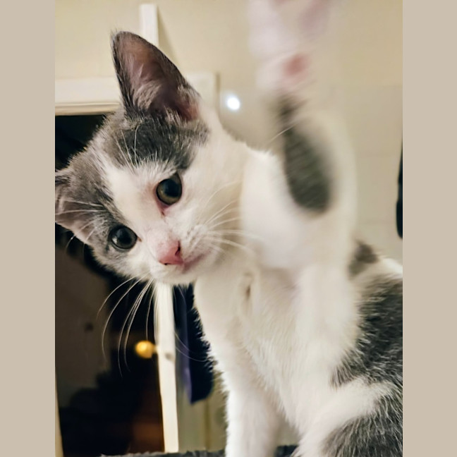 Photo of Molly 