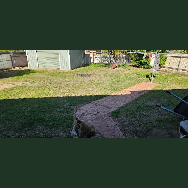 Photo of Dune Dennis