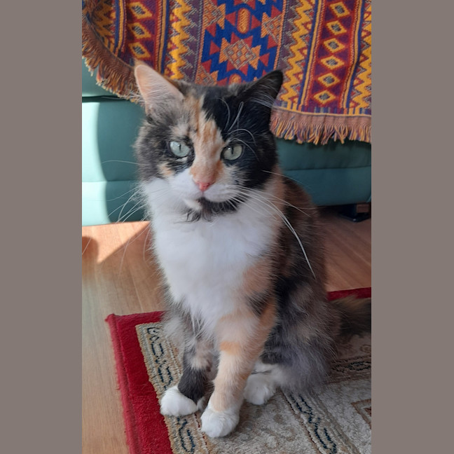 Photo of Elisabeth Sparkle