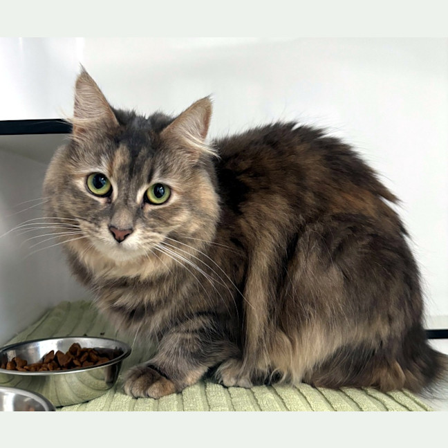 Photo of Arwen Rsua013325